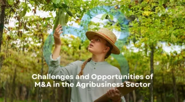 Challenges and Opportunities of M&A in the Agribusiness Sector