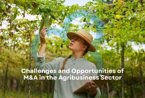 Challenges and Opportunities of M&A in the Agribusiness Sector