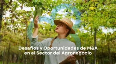 Desafíos y oportunidades de M&A en el sector agroindustrial