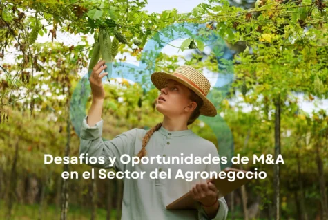 Desafíos y oportunidades de M&A en el sector agroindustrial