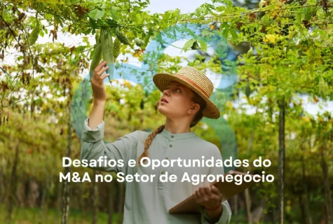 Desafios e Oportunidades do M&A no Setor de Agronegócio